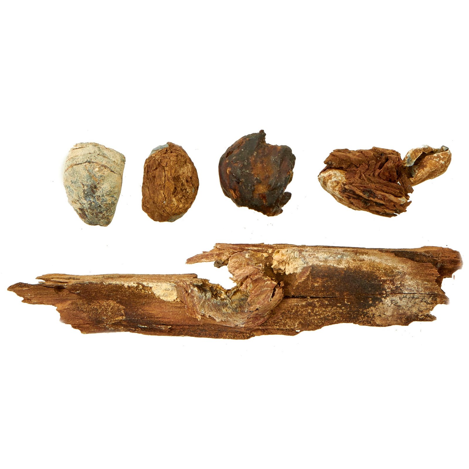 Buy Original U.S. Civil War Era Battle of Gettysburg Area Recovered “Bullets in Wood” Battlefield Recovered Relics | Original Firearms Antique For Sale