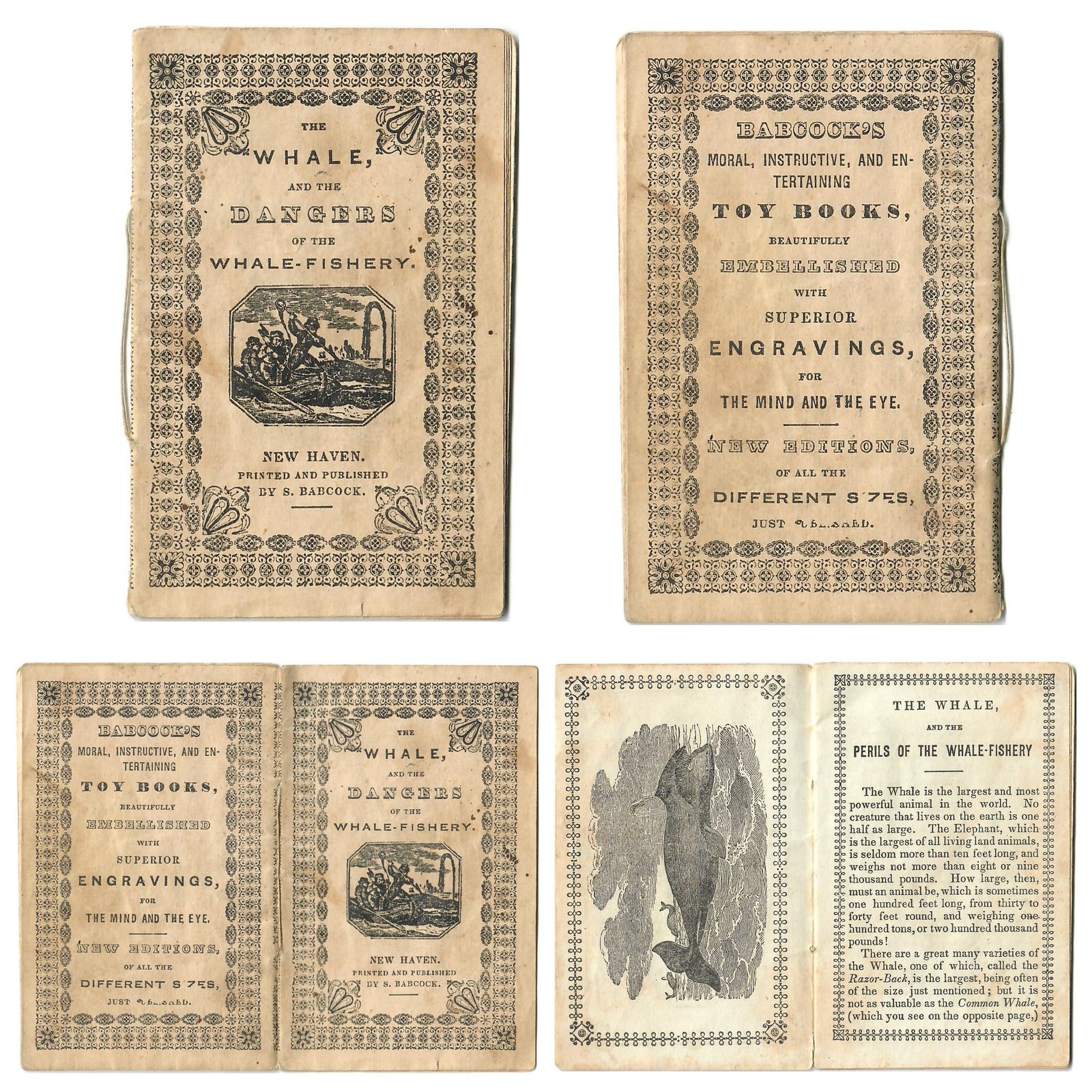 Buy Original U.S. 1840 Published Whaling Pamphlet - The Whale and the Perils of Whale-Fishery - Published in New Haven - Extremely Scarce | Original Firearms Antique For Sale