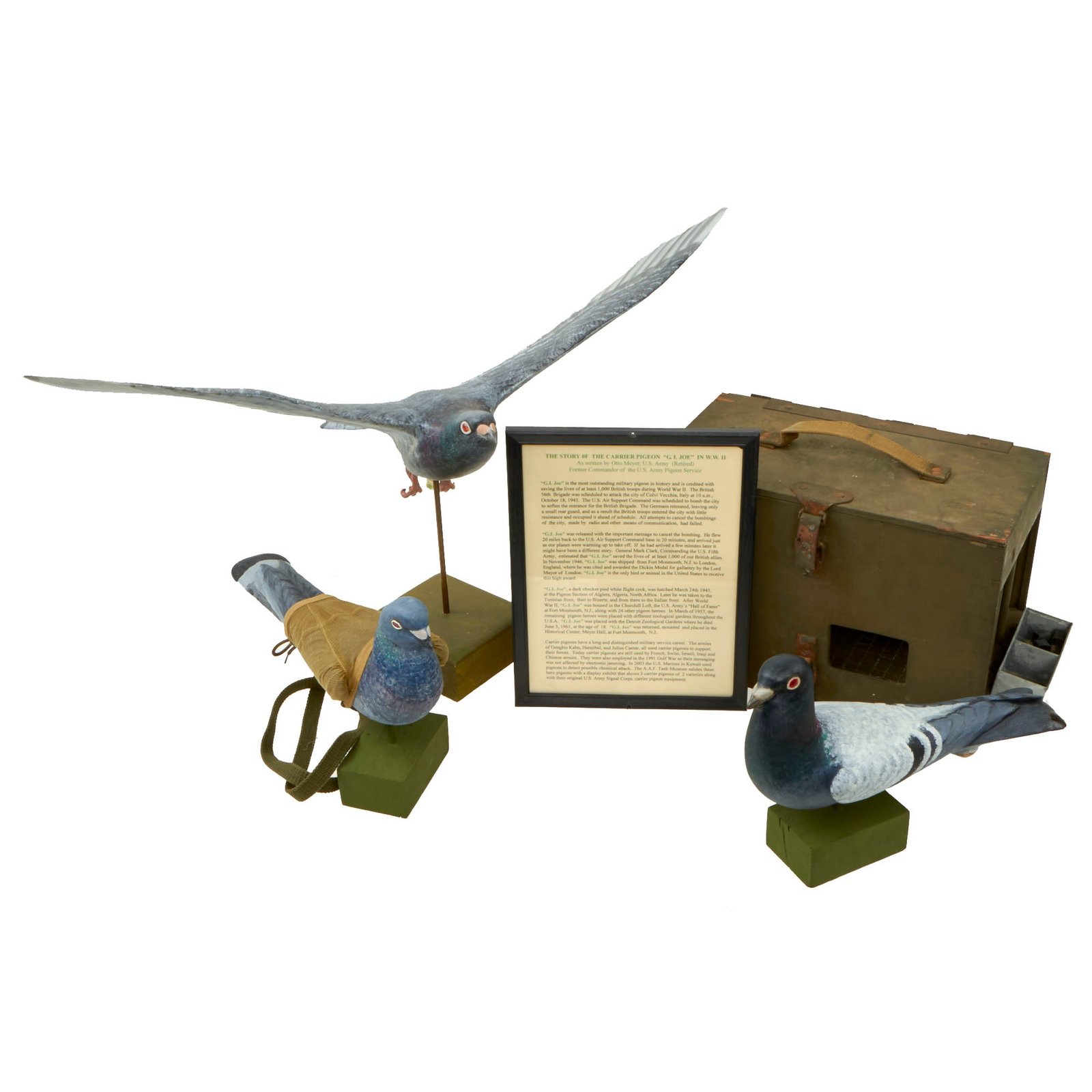 Buy Original U.S. WWII Army Messenger Pigeon PG-102/CB Wooden Carrier with Message Books, PG-67 Message Capsules, Vest and (3) Wooden Decoys - A.A.F. Tank Museum | Original Firearms Antique For Sale