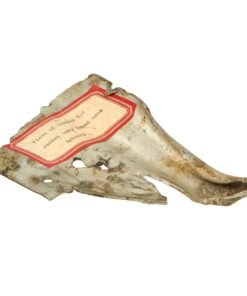 Buy Original German WWII Recovered Piece of V-2 Rocket Found Near Antwerp Belgium with Label | Original Firearms Antique For Sale
