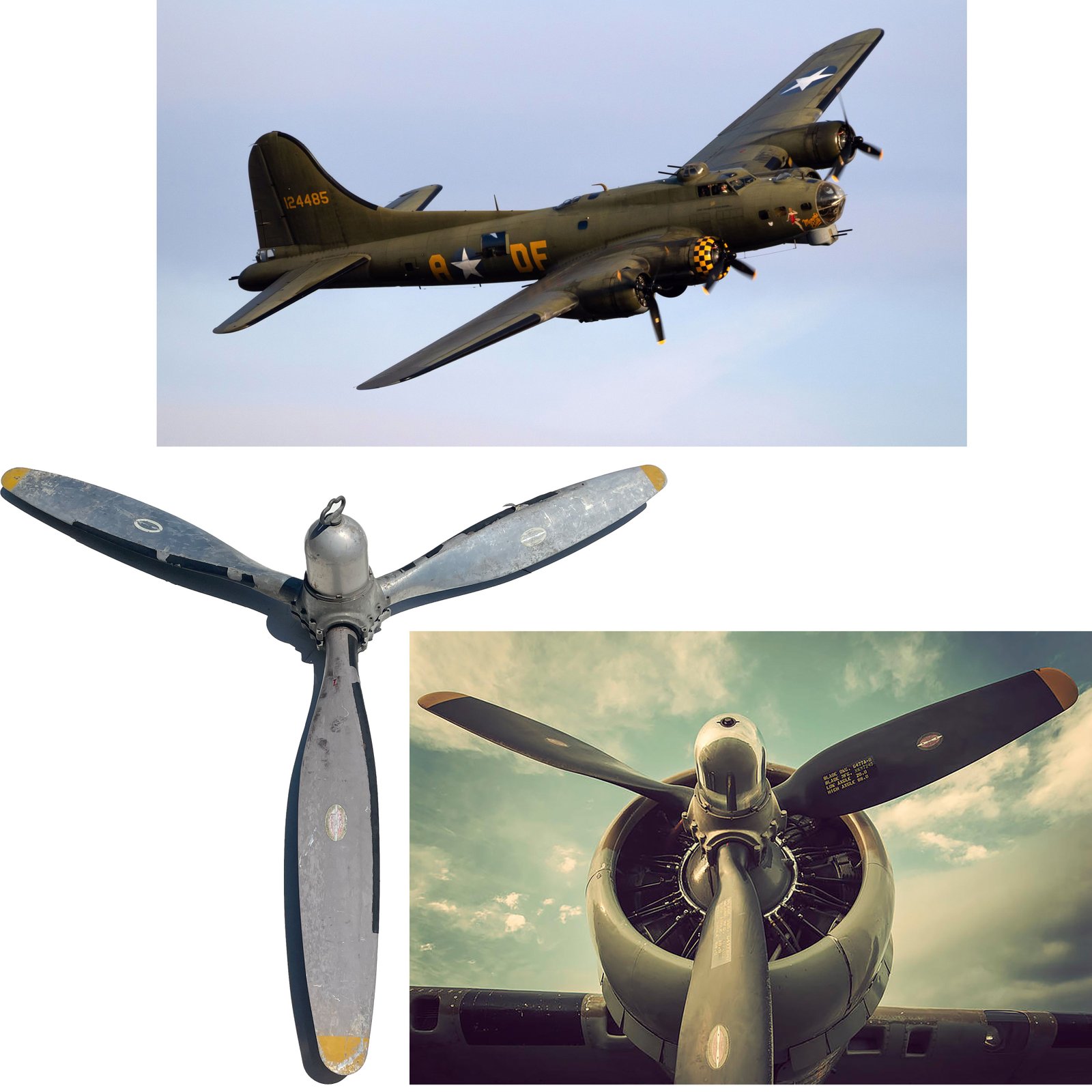 Buy Original U.S. WWII B-17 Flying Fortress / B-24 / C-47 Propeller 3-Blade Set with Partial Hub Assembly & Dome - Hamilton Standard | Original Firearms Antique For Sale