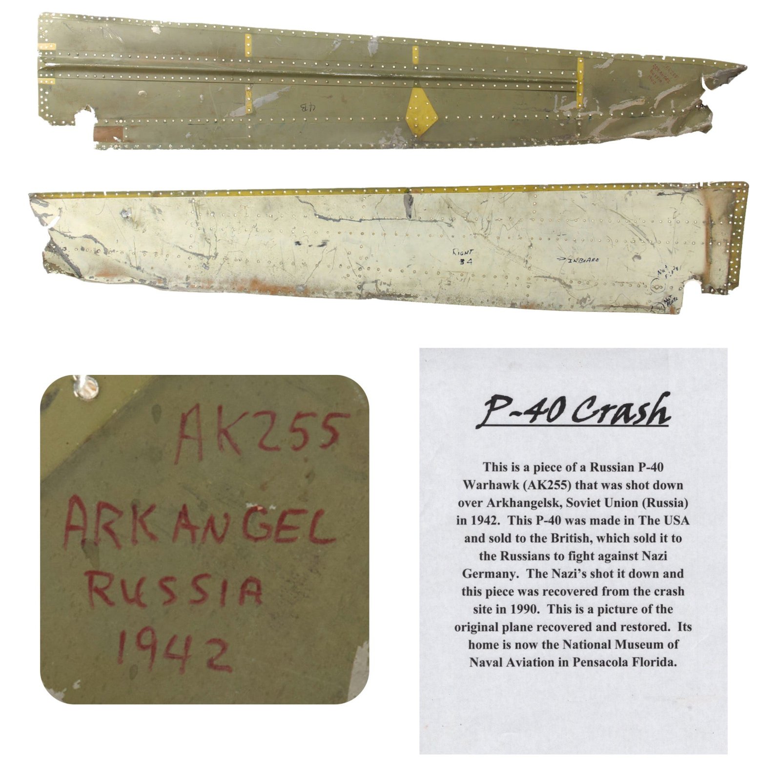 Original Soviet WWII Curtiss P-40 Warhawk AK-255 Crashed Aircraft Skin - Plan e Now Recovered in National Museum of Naval Aviation in Pensacola Florida - 12 x 64”