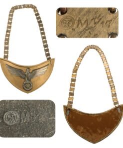 Original German WWII NSDAP Political Leader Standard Bearer Gorget with Chain by F. W. Assmann & Söhne of Lüdenscheid